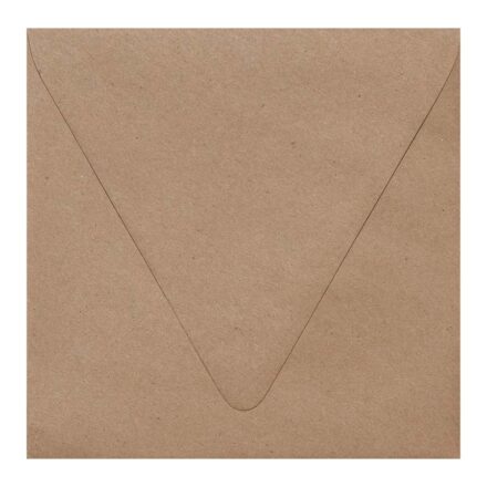 Brown Bag Kraft Envelopes