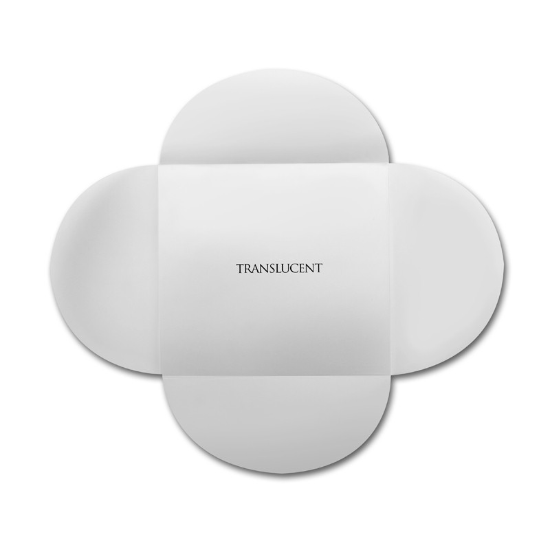 CT Translucent image