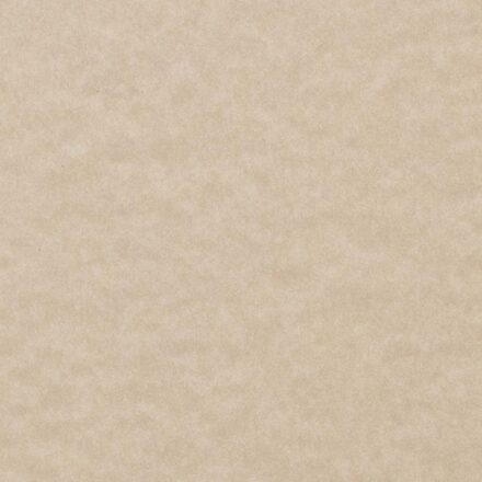 Astroparche Paper & Cardstock