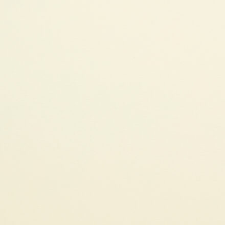 Rising Museum Board Paper & Cardstock