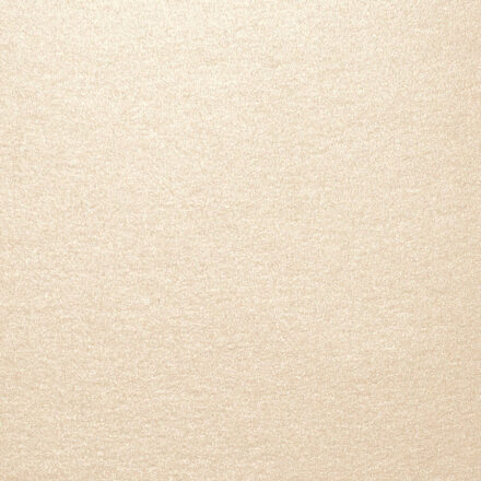 Aspire Petallics Paper & Cardstock