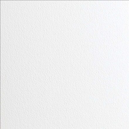 Classic Stipple Paper & Cardstock