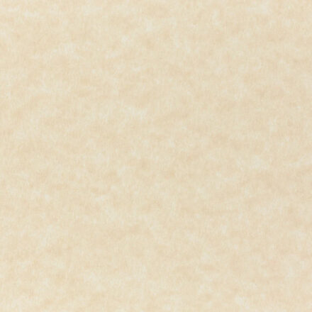 Parchtone Paper & Cardstock