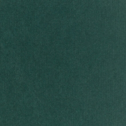 Royaltone Paper & Cardstock