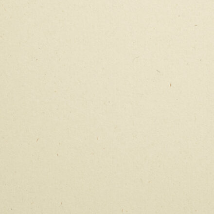 Woodstock Paper & Cardstock